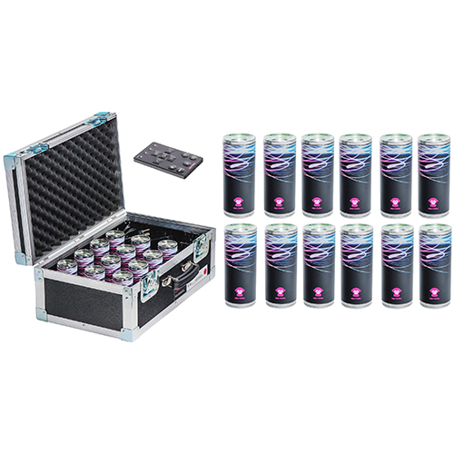 Akkubetriebene LED-Lichter Tourset mit 12 LED-Leuchten, Fernbedienung und Transportkoffer von Rental Hansekontor Wismar